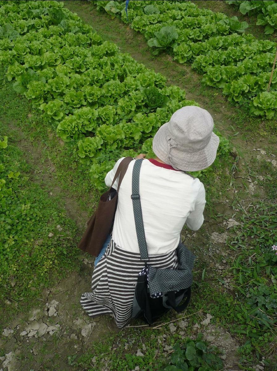 20101127 THE Organic Farm19